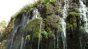 برگزاری اردوی یک روزه