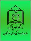 نوزدهمین کنگره سالانه اعصاب کودکان و نوجوانان ایران