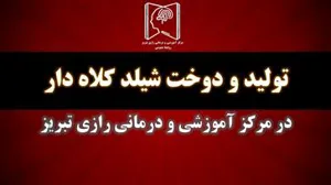 تولید و دوخت شیلد کلاهدار در مرکز آموزشی و درمانی رازی تبریز