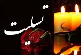 پیام تسلیت رئیس دانشگاه علوم پزشکی تبریز بمناسبت شهادت دکتر مهران عبدالهی نامی