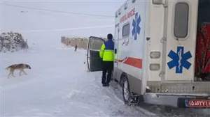 نجات سه مادر باردارتوسط اورژانس در شرایط جوی نامساعد و جاده های صعب العبور  استان آذربایجان شرقی