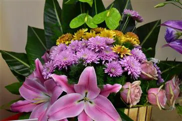 آقای دکتررضائی روزپرستار راتبریک گفتند