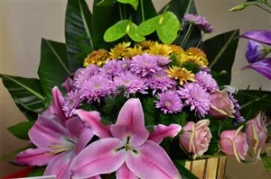 پیام تبریک ریاست محترم مرکز به جنای آقای ذکتر صاحبی حق