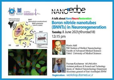 Boron nitride nanotubes (BNNTs) in Neuroregeneration