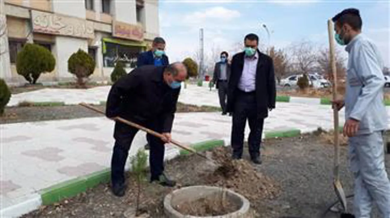 غرس نهال در روز درختکاری