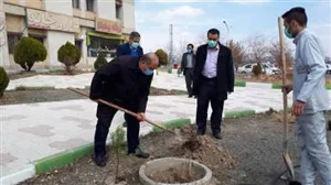 غرس نهال در روز درختکاری