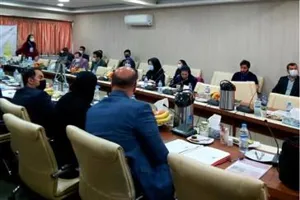 برگزاری آخرین روز از وبینار کنگره بین المللی علوی