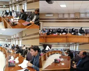 برگزاری کارگروه تخصصی پدافند غیر عامل شبکه بهداشت و درمان شهرستان میانه 