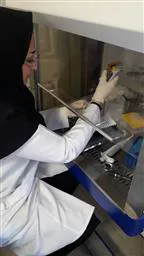 مرکز قلب شهید مدنی تبریز از ساخت ارگان واره های تپنده قلب خبرداد