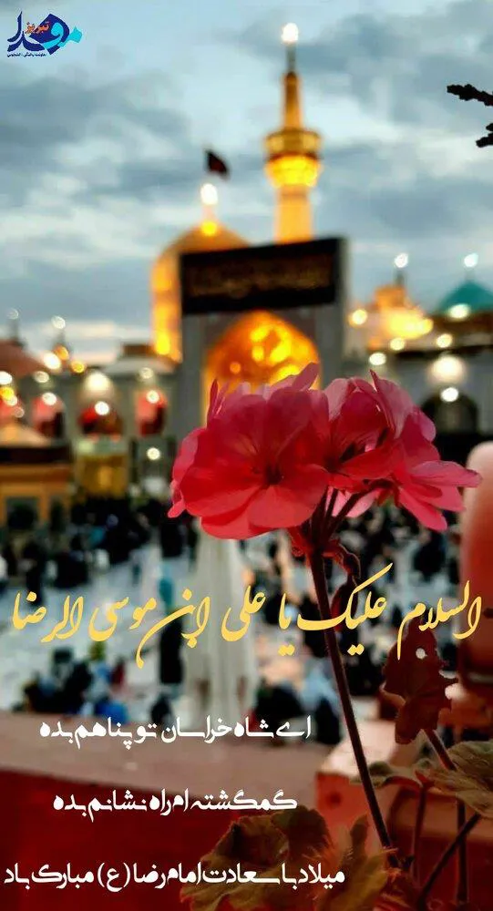 عکس نوشت/ یا ضامن آهو