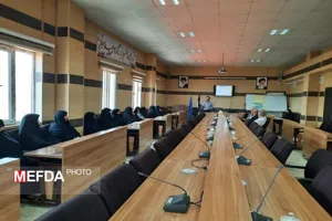 کارگاه آموزشی دیابت در سالمندان برگزار شد