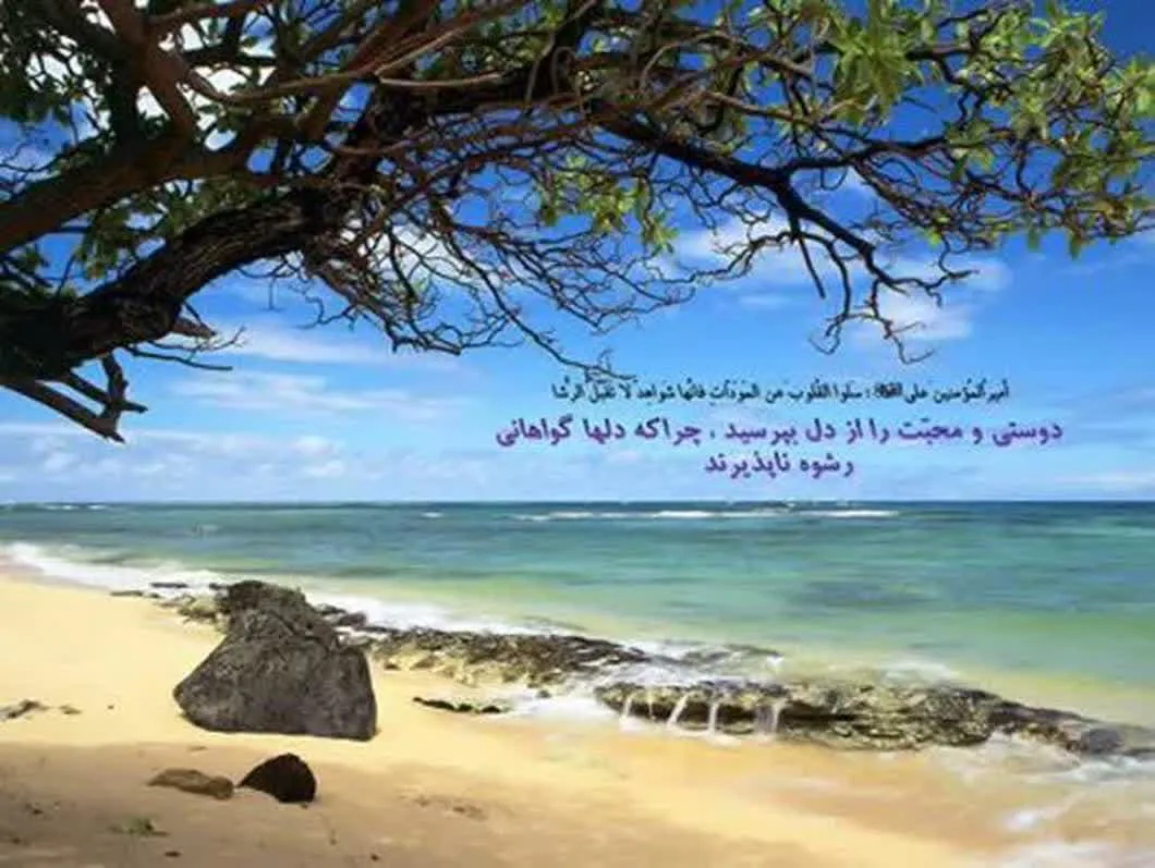شهادت مبارک