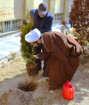 روز درختکاری