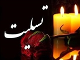 پیام تسلیت رئیس دانشگاه علوم پزشکی تبریز بمناسبت شهادت دکتر مهران عبدالهی نامی