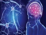  رئیس انجمن ام اس استان از وجود ۶ هزار بیمار مبتلا به ام اس در آذربایجان شرقی خبر داد