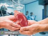 تعلیق موقت عمل‌های پیوند کلیه در ایام بمباران/ کادر درمان حتی یک روز میدان را خالی نکرد
