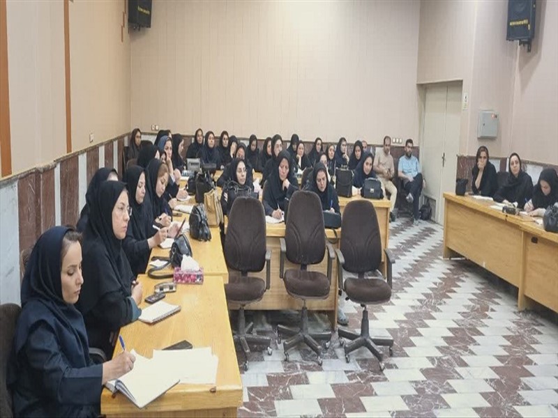 جلسه کارشناسان سامانه MCMC دانشگاه علوم پزشکی تبریز 