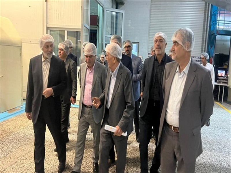 در بازدید از شرکت های دانا و داداش برادر (شونیز)؛