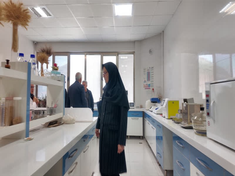 در نشست هم‌اندیشی کارگروه سلامت و امنیت غذایی آذربایجان شرقی