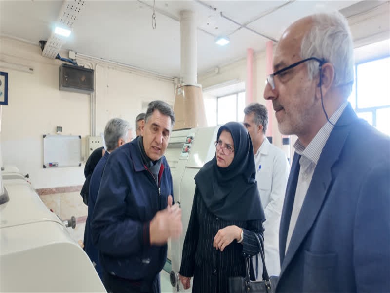 در نشست هم‌اندیشی کارگروه سلامت و امنیت غذایی آذربایجان شرقی