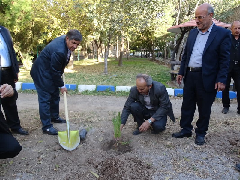 همزمان با روز پرستار، یاد شهدای سلامت با کاشت ۲۰ اصله نهال زنده نگه داشته شد