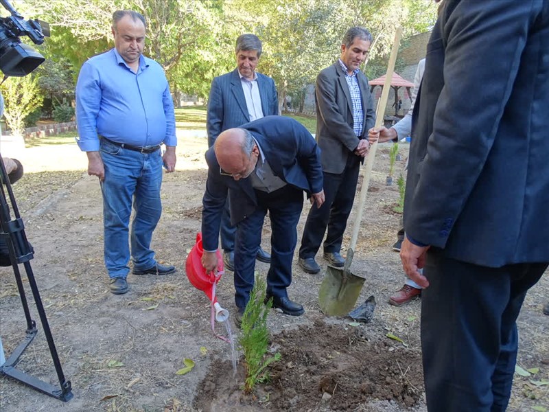 همزمان با روز پرستار، یاد شهدای سلامت با کاشت ۲۰ اصله نهال زنده نگه داشته شد