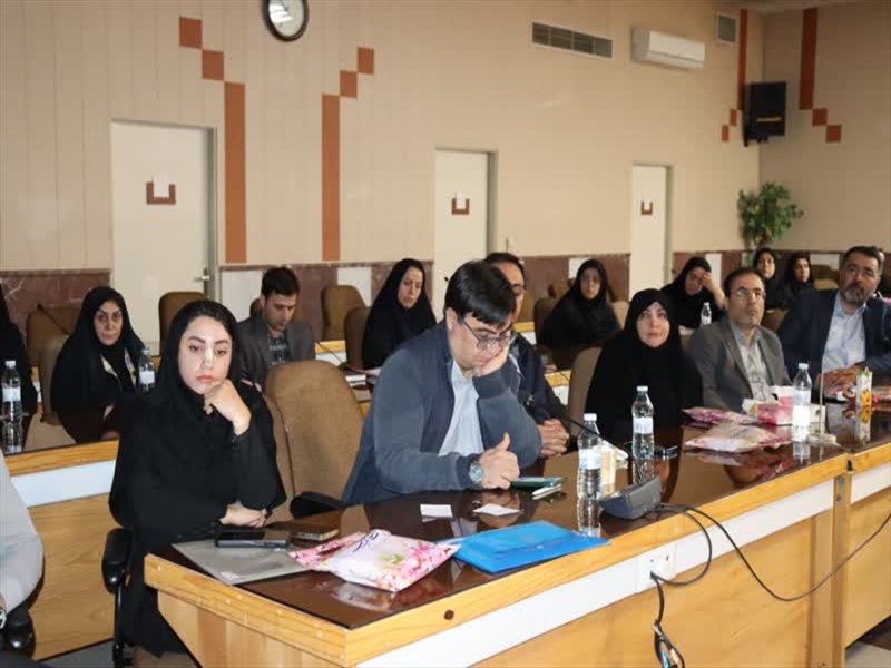 کارگاه آموزشی اصلاح آئین‌نامه سازمان تعزیرات حکومتی معاونت درمان