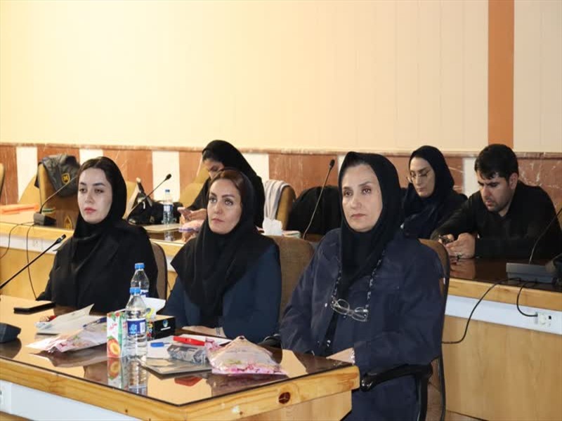 کارگاه آموزشی اصلاح آئین‌نامه سازمان تعزیرات حکومتی معاونت درمان