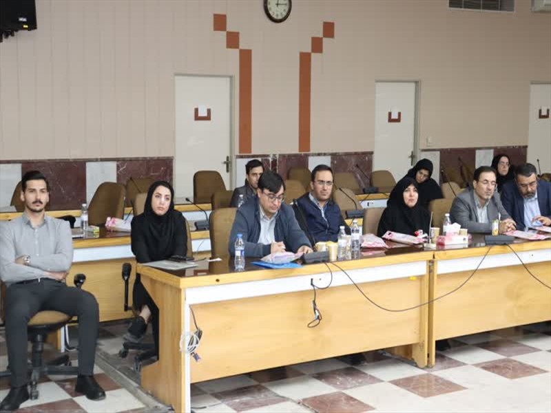 کارگاه آموزشی اصلاح آئین‌نامه سازمان تعزیرات حکومتی معاونت درمان