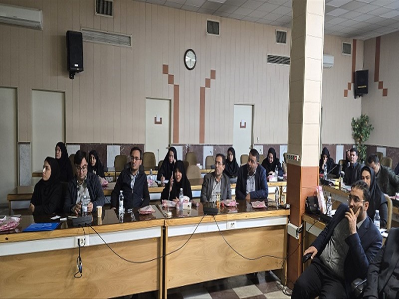 کارگاه آموزشی اصلاح آئین‌نامه سازمان تعزیرات حکومتی معاونت درمان