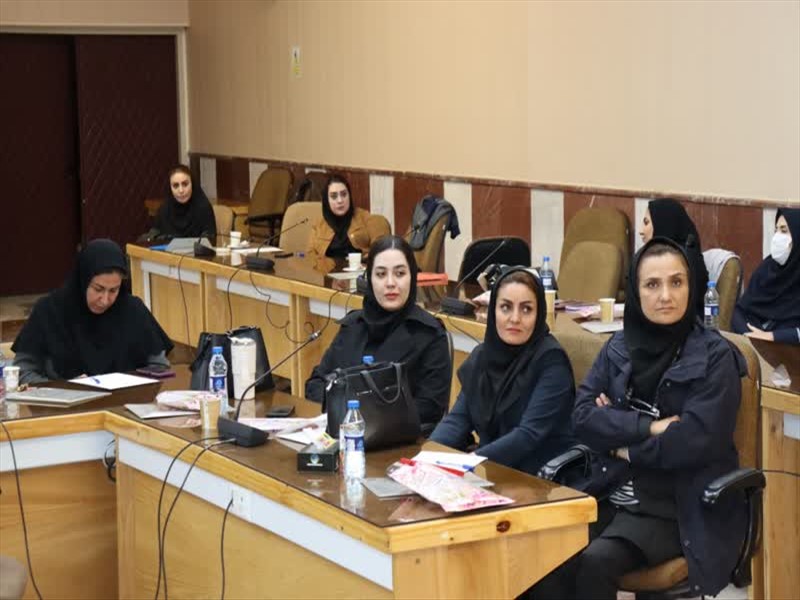 کارگاه آموزشی اصلاح آئین‌نامه سازمان تعزیرات حکومتی معاونت درمان