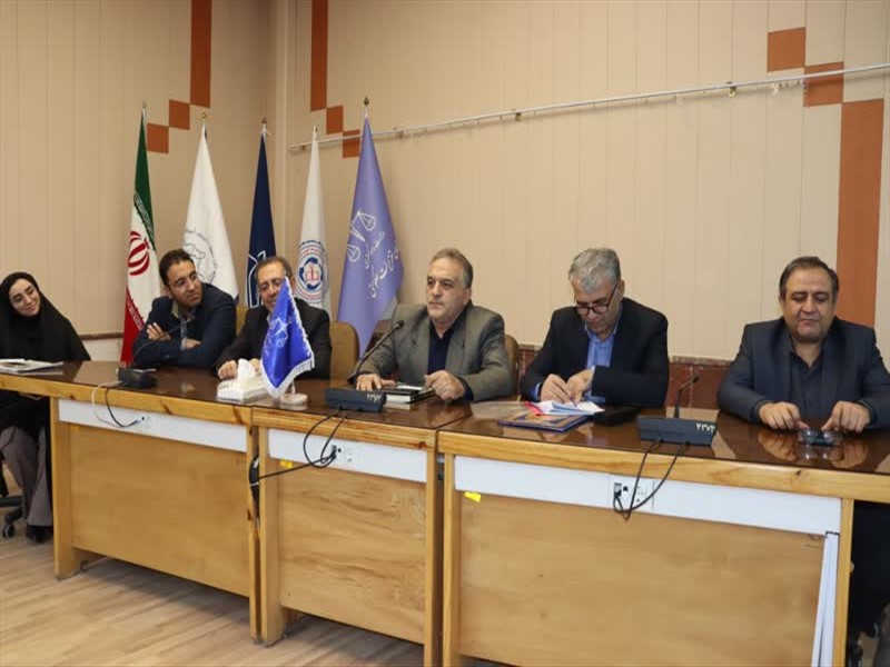 کارگاه آموزشی اصلاح آئین‌نامه سازمان تعزیرات حکومتی معاونت درمان