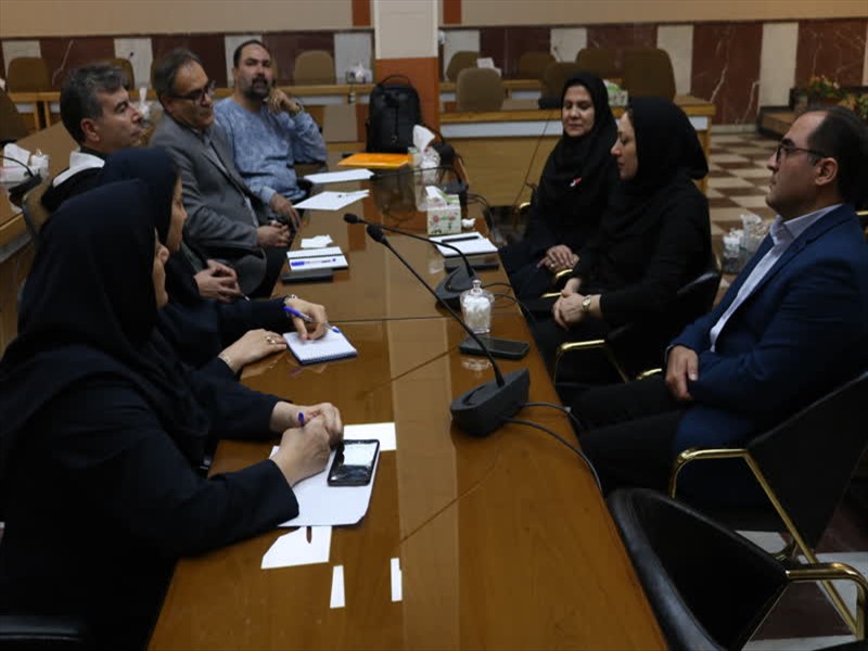 برگزاری نشست تخصصی ارتقاء نظام پایش و هدایت مراقبت‌های درمانی کلان منطقه ۲ دانشگاه‌های علوم پزشکی