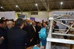 افتتاح دهمین نمایشگاه ربع رشیدی- رینوتکس
