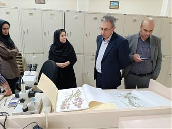 بازدید رئیس ستاد توسعه اقتصاد دانش‌بنیان در حوزه گیاهان دارویی و طب سنتی از دانشگاه علوم پزشکی تبریز